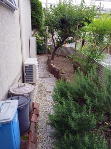 ﾋﾞﾌｫｰ③