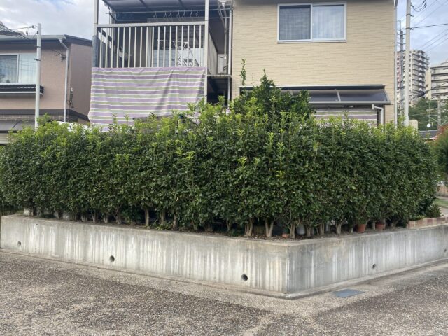 生垣から木目調格子フェンスのリフォーム